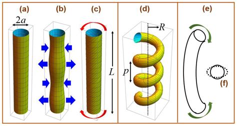 Thermal Effects on Optical Chirality, Mechanics, and Associated ...