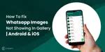 Fix WhatsApp Images Not Showing In Gallery? Android & iOS | Cashify Blog