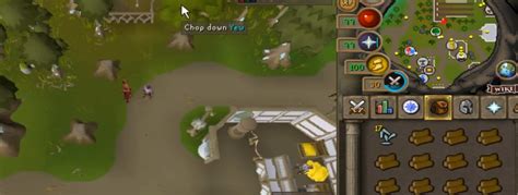 OSRS Top 5 Ways To Farm Crystal Shards Guide - NovaMMO