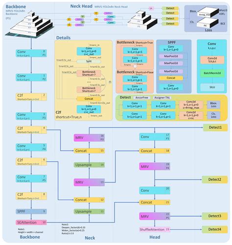 Image result for Yolov8 Algorithm Flowchart