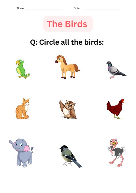 Bird Fly Worksheet 的图像结果