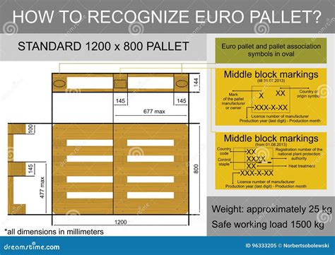 European Pallets Dimensions at Edward Criss blog
