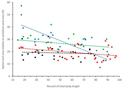 Morphometrics of the Spinal Cord and Surrounding Structures in ...
