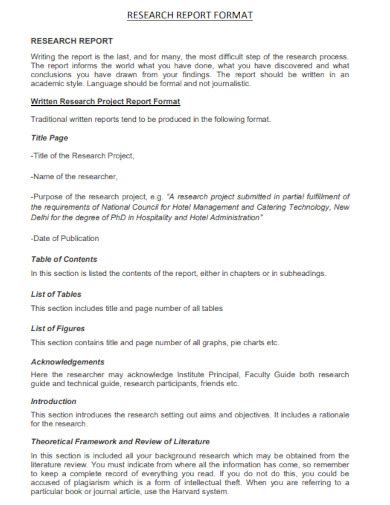 Report Format Example 的图像结果