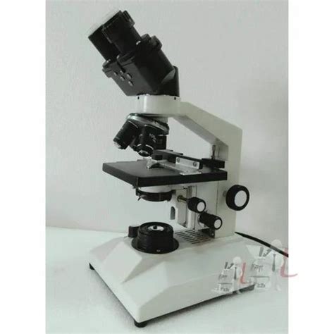 Medical Microscope 的图像结果