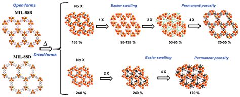 Flexibility in Metal–Organic Frameworks: A Basic Understanding