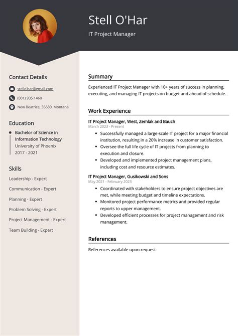 IT Project Manager CV: Sample & Guide [Entry Level + Senior Jobs]