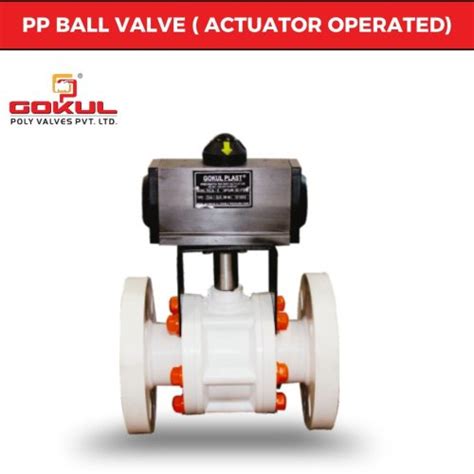 Pvdf Ball Valve Flange End Manufacturer, Supplier from Ahmedabad