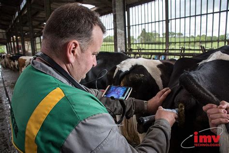 Image result for IMV Alpha Vision Tutorial