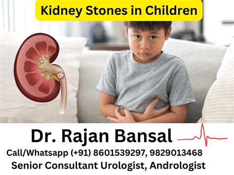 Kidney For Kids
