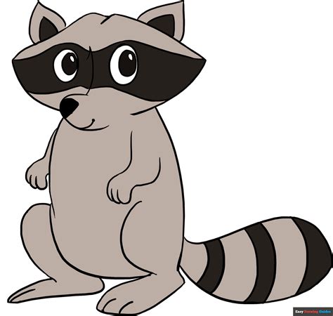Raccoon Drawing Easy Easy How To Draw A Raccoon And Raccoon Coloring