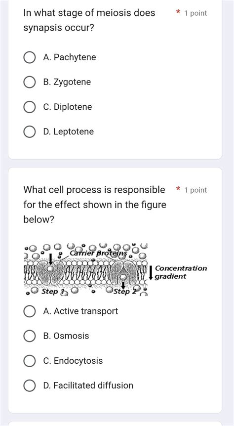 In what stage of meiosis does synapsis | StudyX