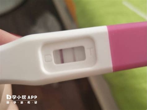 早孕明显两道杠先别欢呼，尿检准确率不高可能其实没怀孕_家庭医生在线