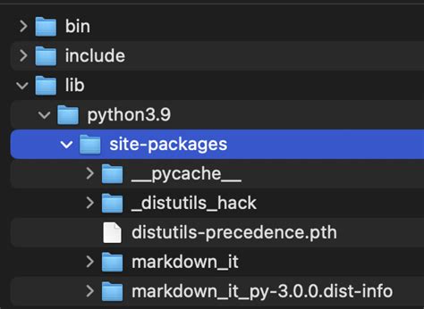Venv Module in Python Hindi 的图像结果