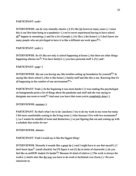 Interview Transcript Example 的图像结果