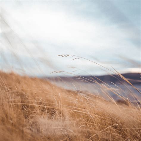 Mistral Map 的图像结果