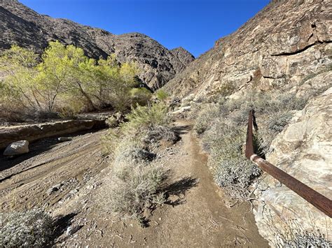 Hiking the Darwin Falls Trail in Death Valley National Park — noahawaii