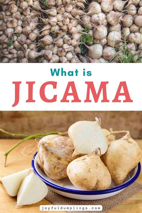15 Gray Fruits and Vegetables: A Captivating Twist on Nature's Palette » Joyful Dumplings - benefits of jicama fruit