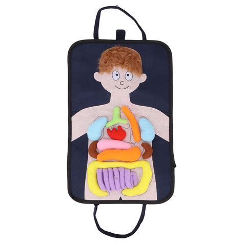 Buy 3D Organ Apron, Anatomy Apron Human Body Organs Awareness ...