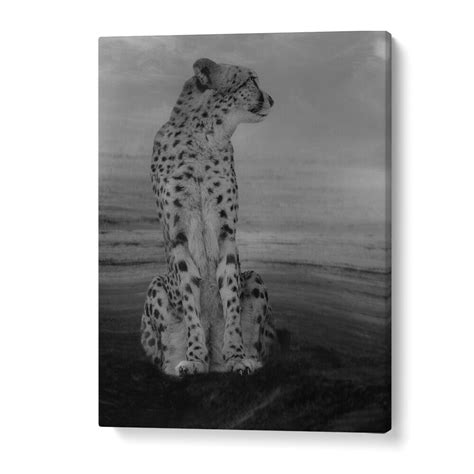 Cheetah On The Watch Photography Prints for Decor – Asianmonk