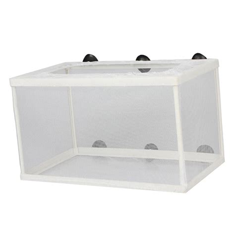 Enakshi (LABEL) Fish Breeder Box Aquarium Breeding Isolation Net for ...