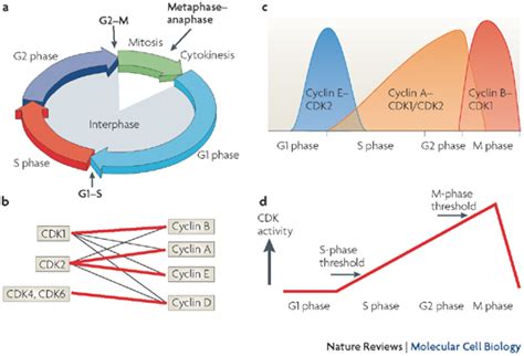 CDK Patterns 的图像结果