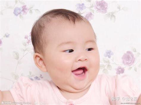 2023年出生的宝宝起名字：健康活泼、文化渊博的兔宝宝名字 - 知乎