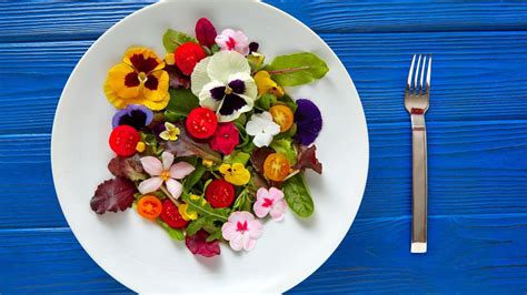 Floral feast: Edible flowers in India to add to your culinary creations