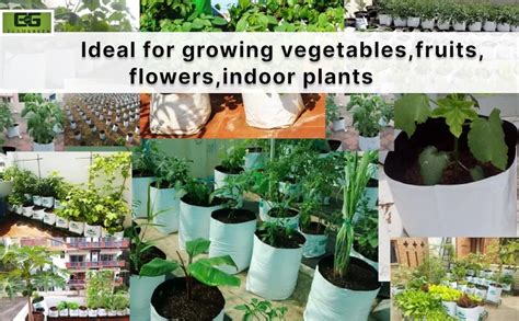 Elamgreen Grow Bags for Terrace Garden 20x20x30 cmPack of 10 Leafy ...