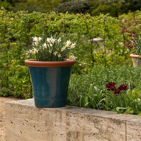 Buy Dark teal kitchen planter: Delivery by Waitrose Garden