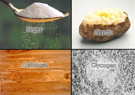Image result for Compound Food Examples