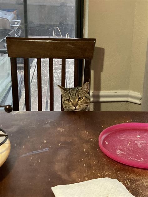 Accidentally got a recreation of half of the woman screaming at white ...