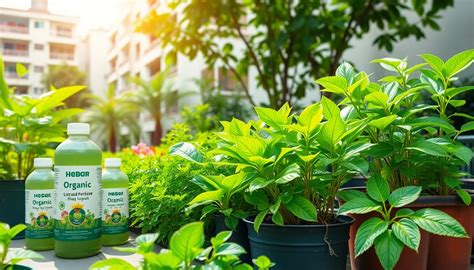 Organic Liquid Fertilizers That Actually Work – HSR Layout Plant Nutri ...