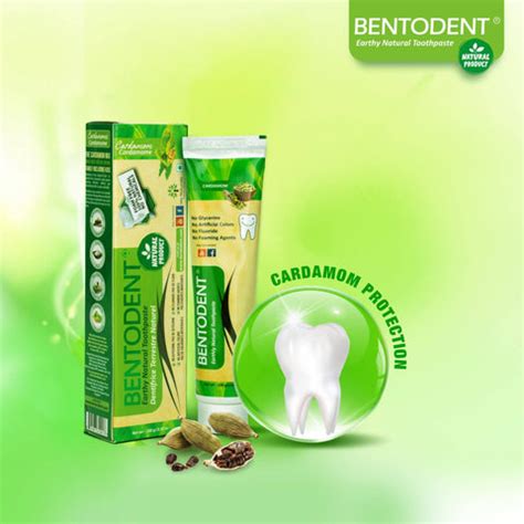 Bentodent Toothpaste - Cardamom & Betel Leaf Pack | Indian Dental ...