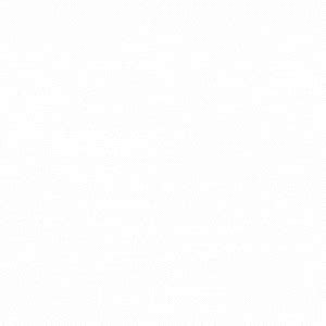 Indigo Cabin Crew Jobs | Check Requirements & Potential Openings - WIIA