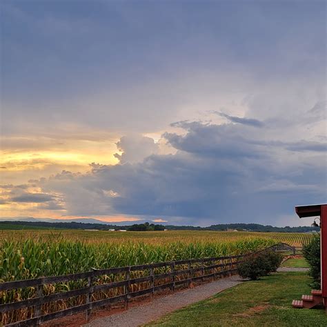 Old Trade 的图像结果