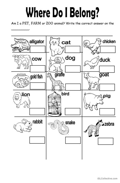 Animals Worksheet 的图像结果