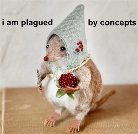 Plagued by Concepts in 2025 | Cute memes, Funny images, Animal memes
