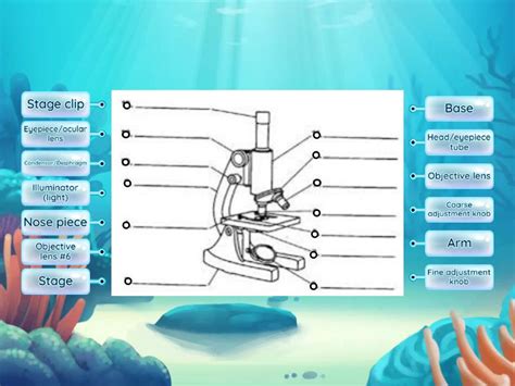 Science Microscope Labelled 的图像结果