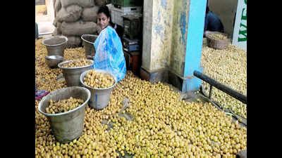 Low potato production leaves cold storage owners worried | Indore News ...