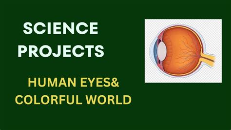 Image result for Science Eye Projects Tutorial