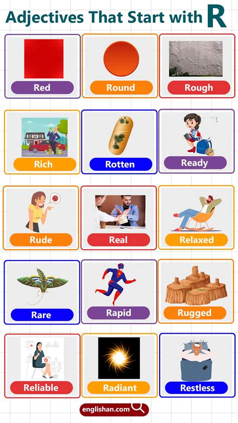 Adjectives That Start With R – Meanings & Examples