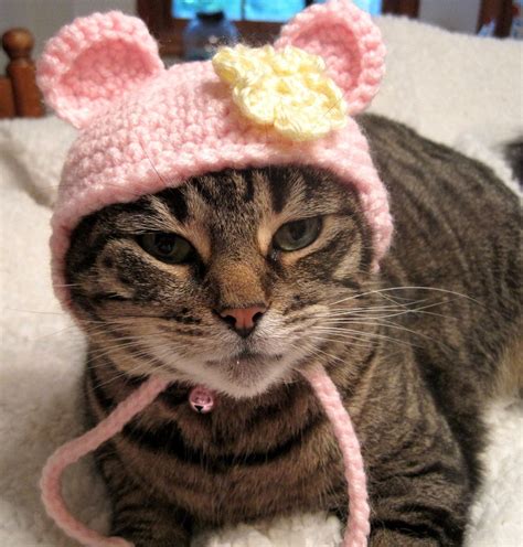 Cats In Hats 30 Knit And Crochet Hat Patterns For Your Kitty at Kenneth ...