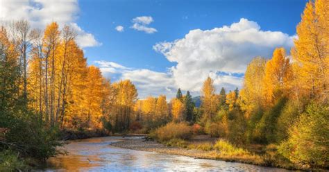 The 9 Best Places To See Fall Foliage In Washington State