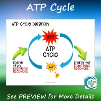 Image result for ATP Study Guide