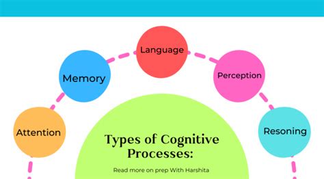 Cognitive Process Examples 的图像结果