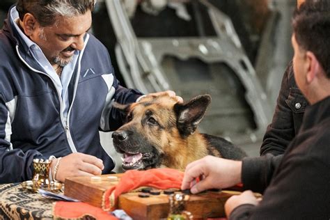 Image result for Python Flask Color Icon