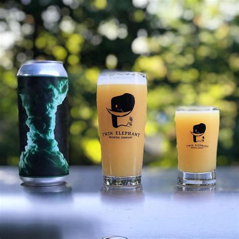 Classic Logo Glass – Twin Elephant Brewing Company