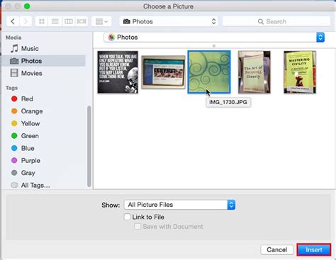 Insert Pictures in PowerPoint 2016 for Mac | Powerpoint, Powerpoint presentation, Pictures