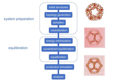Molecular Dynamics Simulation 的图像结果